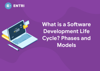 What is a Software Development Life Cycle? Phases and Models