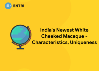India’s Newest White Cheeked Macaque – Characteristics, Uniqueness