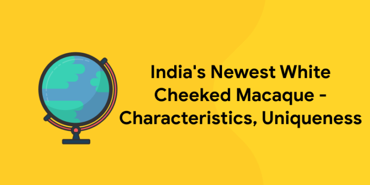 India’s Newest White Cheeked Macaque – Characteristics, Uniqueness
