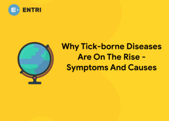 Why Tick-borne Diseases Are On The Rise – Symptoms And Causes