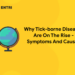Why Tick-borne Diseases Are On The Rise – Symptoms And Causes