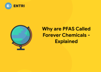 Why Are PFAS Called Forever Chemicals – Explained