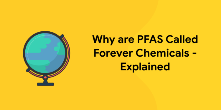Why Are PFAS Called Forever Chemicals – Explained