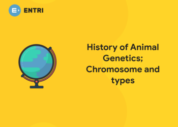 History of Animal Genetics; Chromosome and types