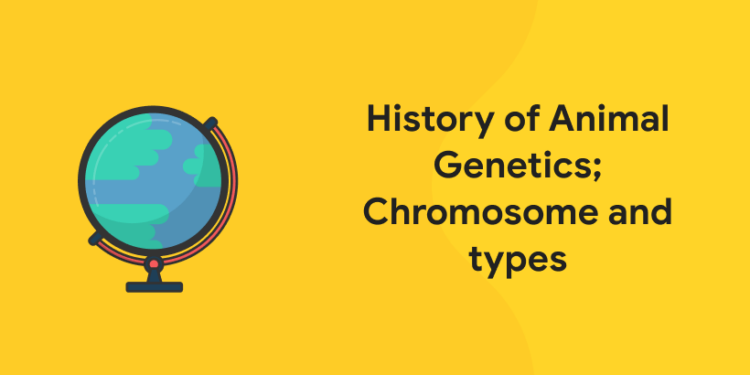 History of Animal Genetics; Chromosome and types