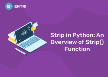 Strip in Python: An Overview of Strip() Function