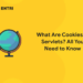 What Are Cookies in Servlets All You Need to Know