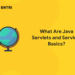 What Are Java Servlets and Servlets Basics