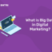 What is Big Data in Digital Marketing