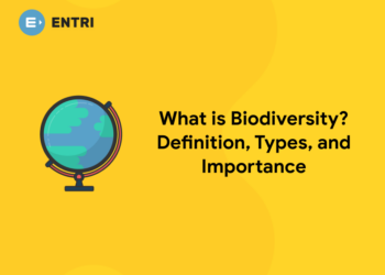 What is Biodiversity Definition, Types, and Importance