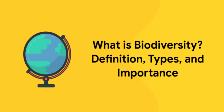What is Biodiversity Definition, Types, and Importance