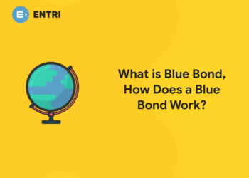What is Blue Bond, How does a blue bond work