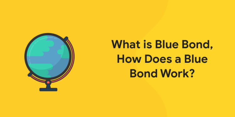 What is Blue Bond, How does a blue bond work