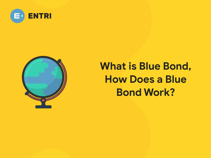 What is Blue Bond, How Does a Blue Bond Work? Entri Blog