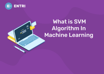 What is SVM Algorithm In Machine Learning