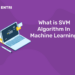 What is SVM Algorithm In Machine Learning