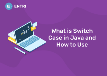 What is Switch Case in Java and How to Use