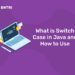 What is Switch Case in Java and How to Use