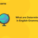 What are Determiners in English Grammar