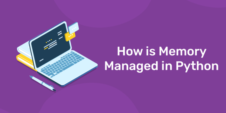 how-is-memory-managed-in-python-memory-management-in-python