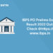 ibps prelims result