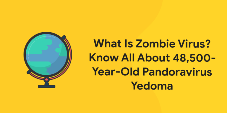 What Is Zombie Virus? Know All About 48,500-Year-Old Pandoravirus Yedoma