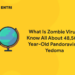 What Is Zombie Virus? Know All About 48,500-Year-Old Pandoravirus Yedoma