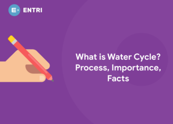 What is Water Cycle? Process, Importance, Facts