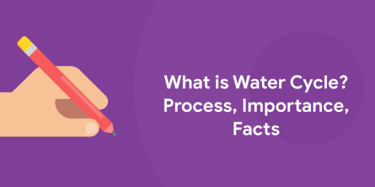 What is Water Cycle? Process, Importance, Facts