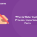 What is Water Cycle? Process, Importance, Facts