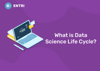 What is Data Science Life Cycle?
