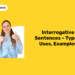 Interrogative Sentences – Types, Uses, Examples