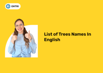 List of Trees Names in English