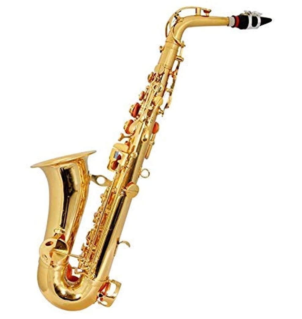 Saxoo Instrument Different Types of Musical Instruments - The Knowledge Library