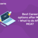 Best Career options after MCA - What to do After MCA