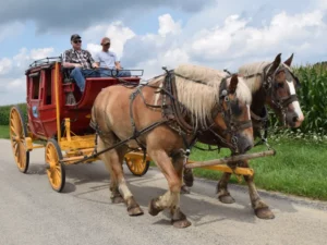 Stagecoach