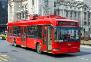 bus