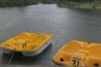 paddle boat
