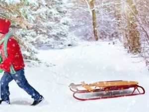 toboggan