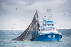 trawler