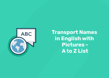transport names in english with pictures