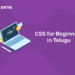 CSS for Beginners in Telugu