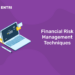 financial risk management techniques