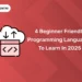 4 Beginner Friendly Programming Languages to Learn in 2025