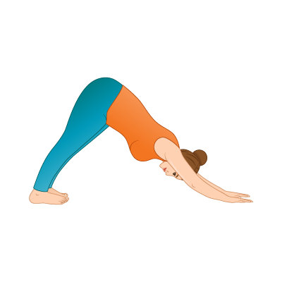 Yoga for Beginners: Complete Guide - Entri Blog