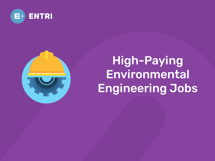 High-Paying Environmental Engineering Jobs - Updated! - Entri Blog