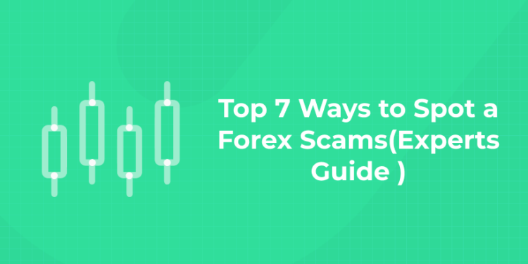 Top 7 Ways To Spot A Forex Scamsexperts Guide Entri Blog 0489