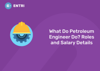 what do petroleum engineer do