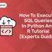 How to Execute SQL Queries in Python and R Tutorial (Experts Guide) (1)
