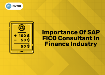 Importance of SAP FICO Consultant in Finance Industry